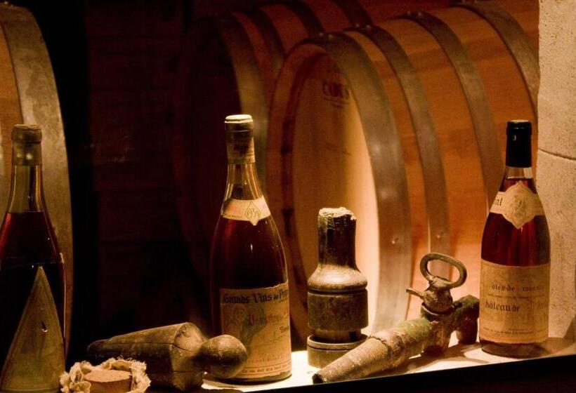 تختخواب و صبحانه Chateau De Saint Martin