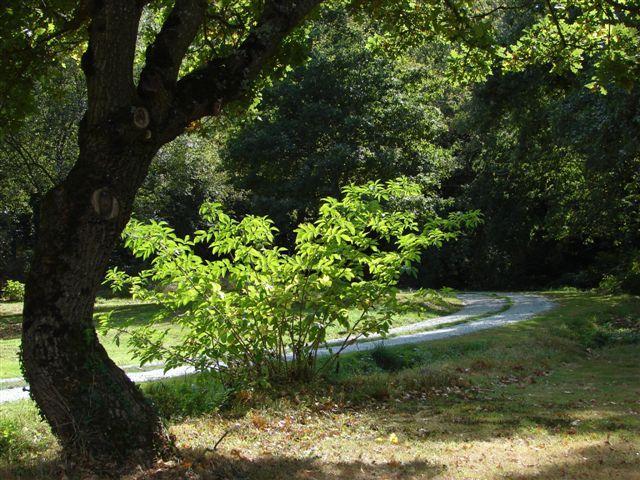 مبيت وإفطار Val Ory