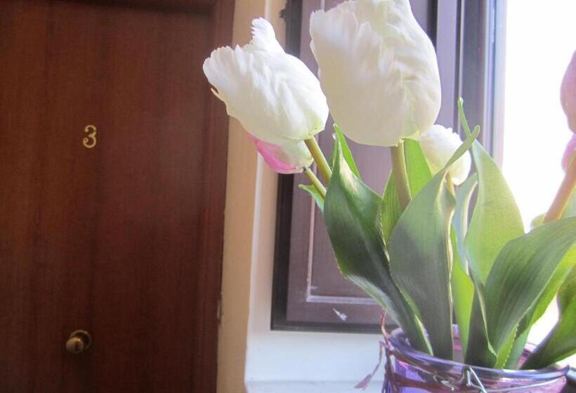 Bed & Breakfast Hostel H24