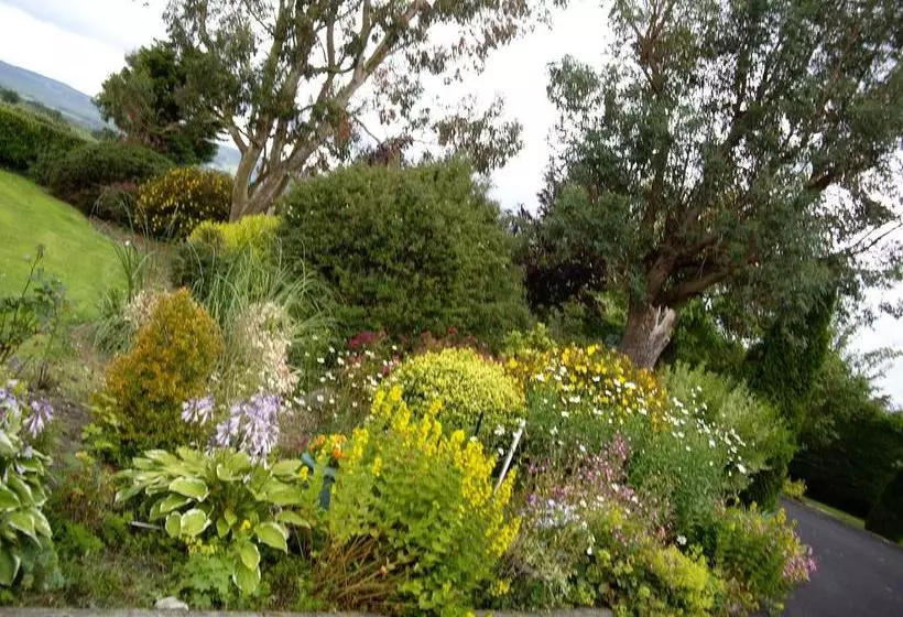 Coonagh Lodge B&b