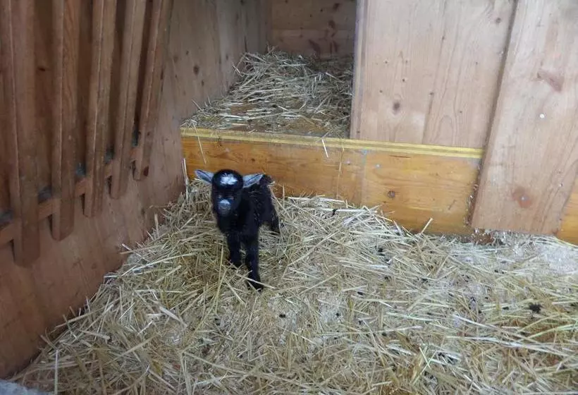 Hostel Rotschuo Jugend  Und Familienferien