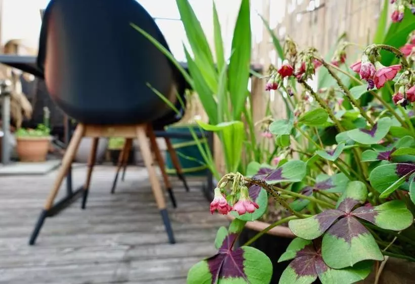 هتل Bedhub - Swisslodge Arbon