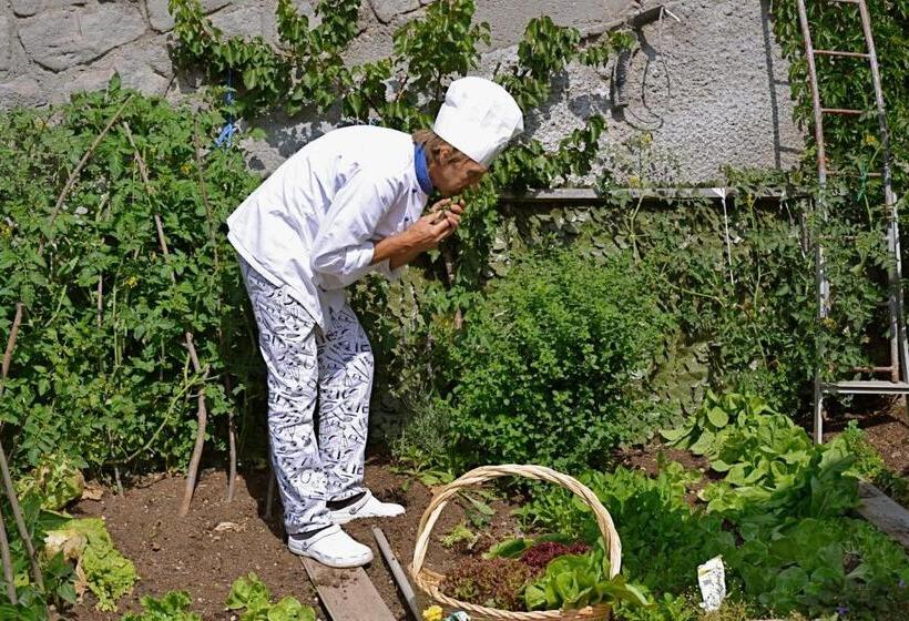 בית מלון כפרי Brunello