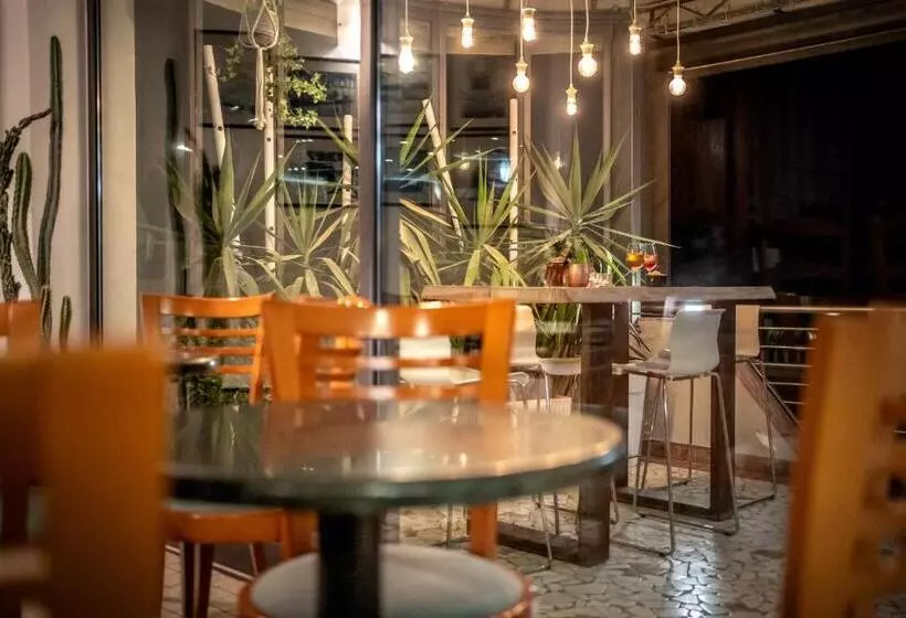Hotel Delfino