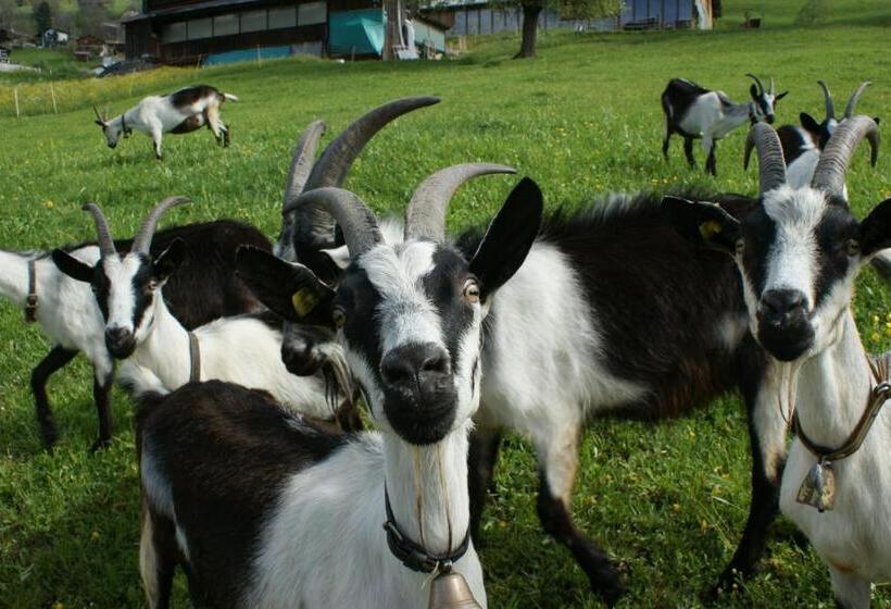 فندق Gästehaus Alpina In Fanas