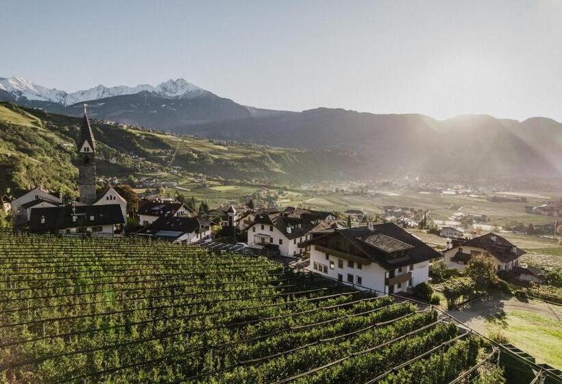 فندق Thalguter Rooms & Breakfast