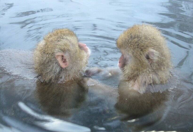 ריוקאן Kamei No Yu