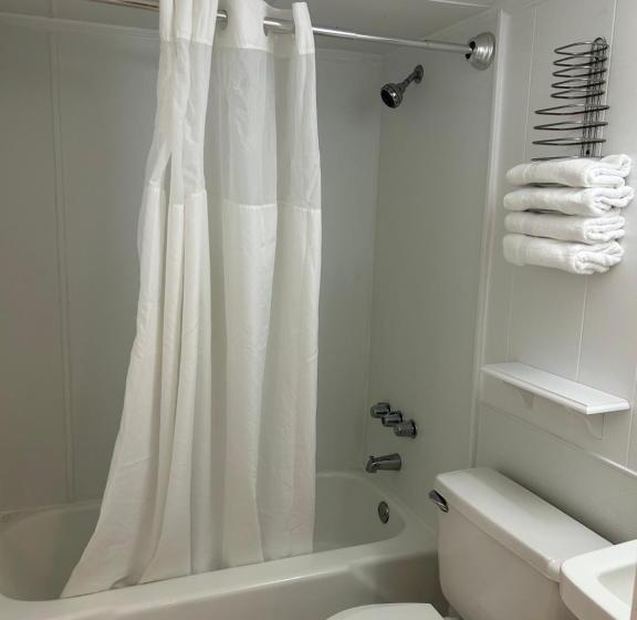 The Admiral Hotel/motel