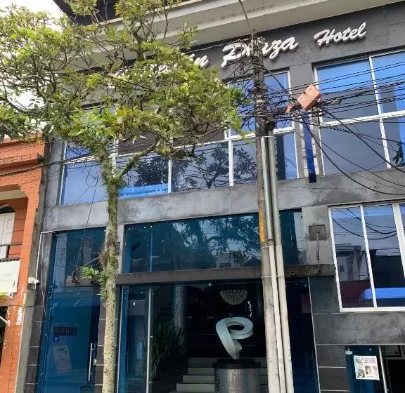 هتل Castellón Plaza