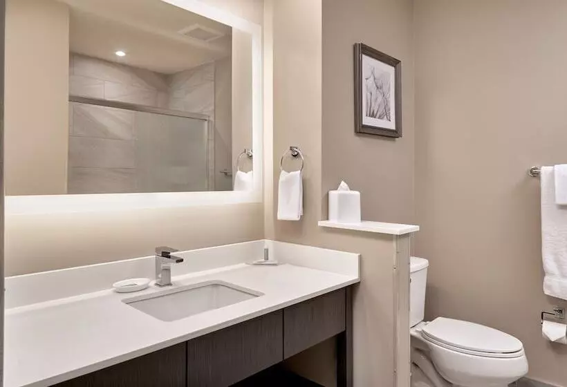 Hotelli Fairfield Inn & Suites By Marriott Airdrie