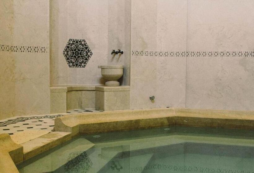 هتل İsa Begov Hamam