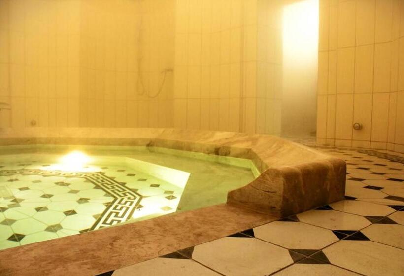 هتل İsa Begov Hamam