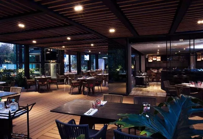 ホテル Krystal Grand® Suites Insurgentes