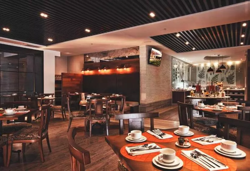 ホテル Krystal Grand® Suites Insurgentes