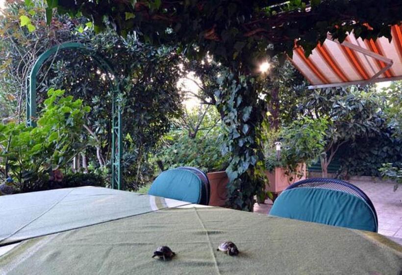 Bed and Breakfast Villa Daniela