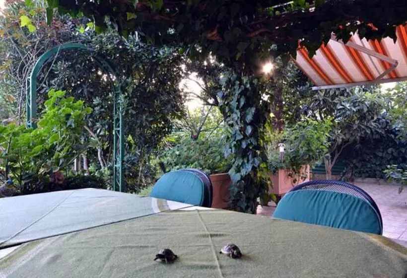 Aamiaismajoitus (B&B) Villa Daniela