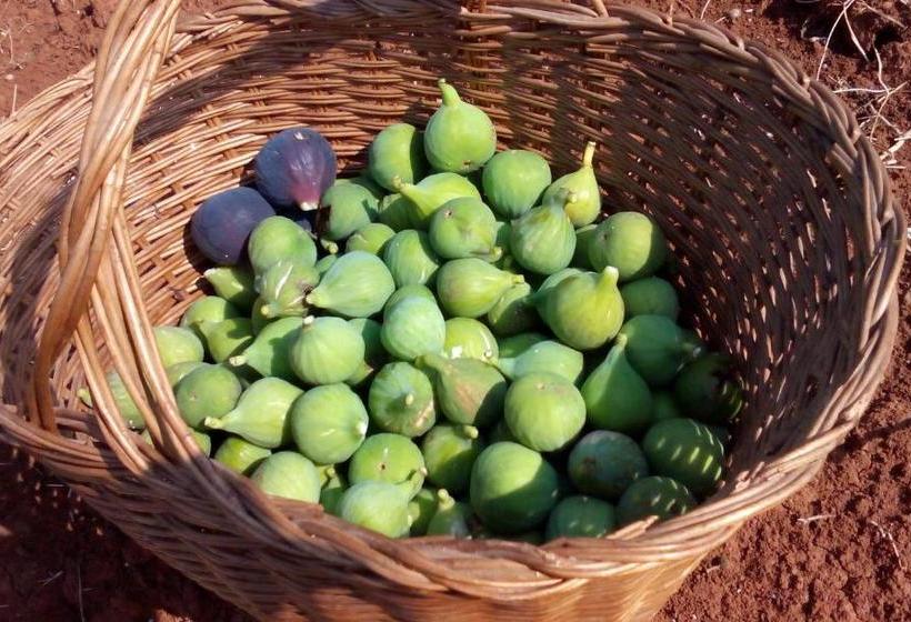 Bed & Breakfast Korta Gira