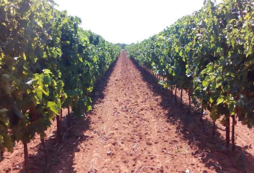 Bed & Breakfast Korta Gira