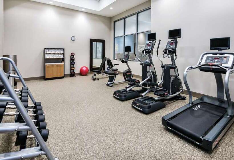 酒店 Embassy Suites By Hilton College Station, Tx