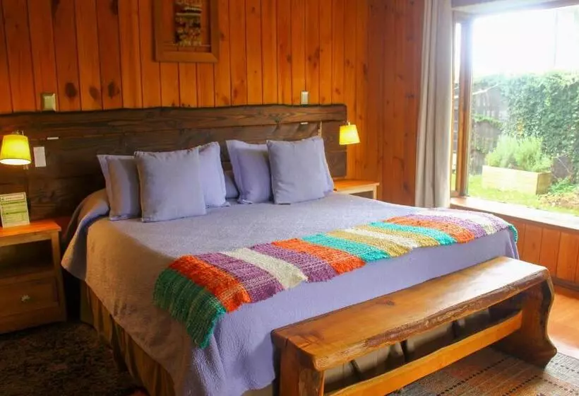 Retkeilymaja Lounge Brasil Hostería Boutique