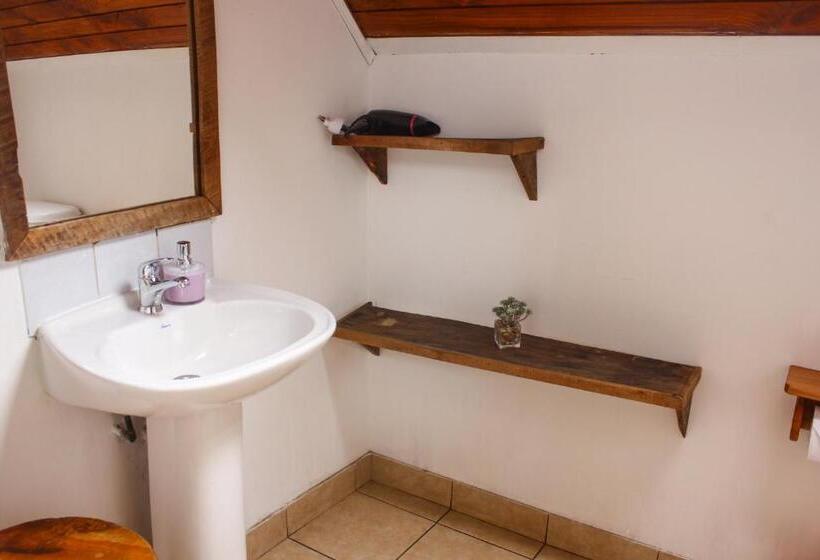 הוסטל Lounge Brasil Hostería Boutique