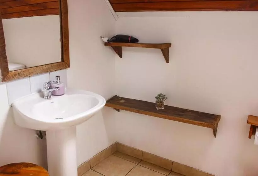 Retkeilymaja Lounge Brasil Hostería Boutique