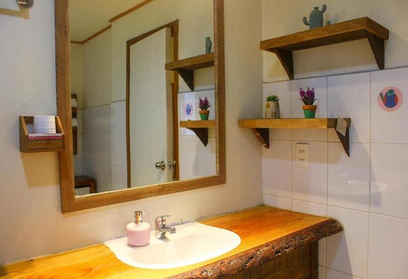 הוסטל Lounge Brasil Hostería Boutique