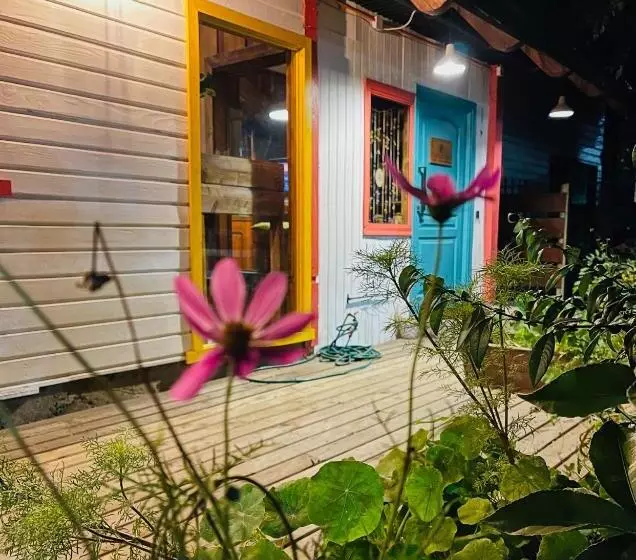 Retkeilymaja Lounge Brasil Hostería Boutique