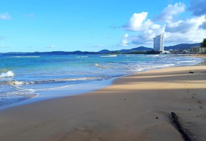 Dolphin Tower Apartment