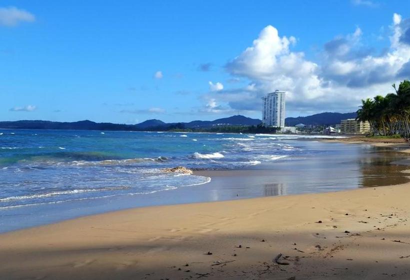 Dolphin Tower Apartment