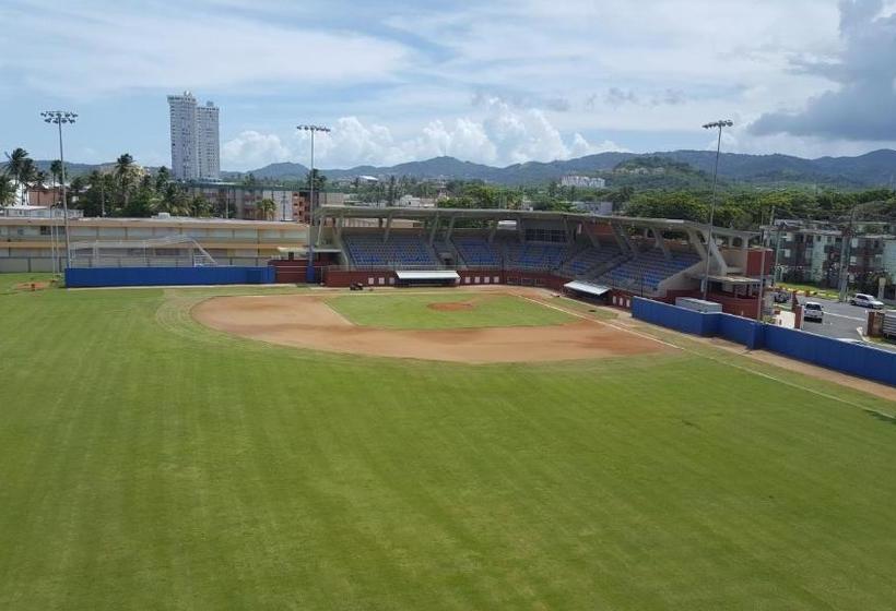 Dolphin Tower Apartment