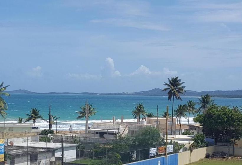 Dolphin Tower Apartment