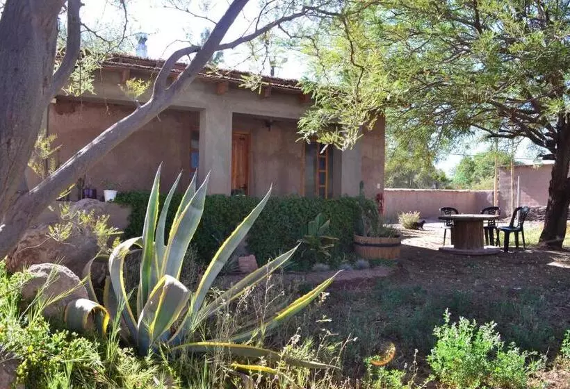 Aamiaismajoitus (B&B) Hostal Y Cabañas Renta House San Pedro