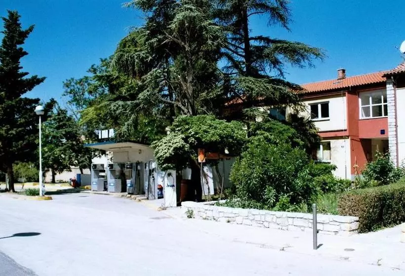 Hostel Amfora