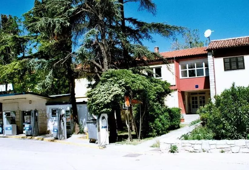 Hostel Amfora