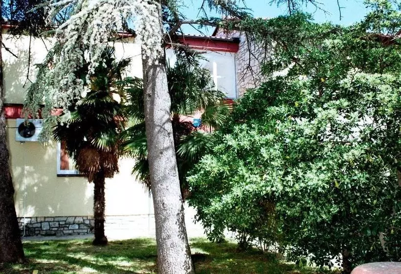 Hostel Amfora