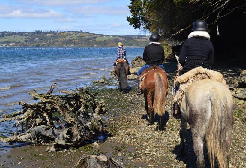 هتل Refugio Pullao