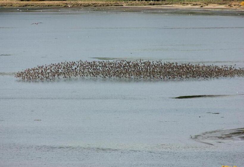 هتل Refugio Pullao