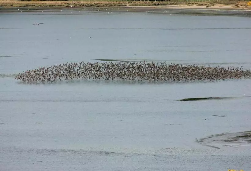 Hotel Refugio Pullao