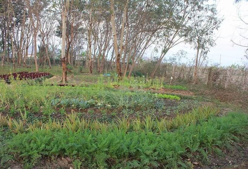 Mount Inle Hotel & Resorts