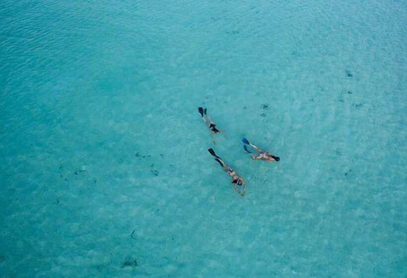 Пансион Pallagino Guest House