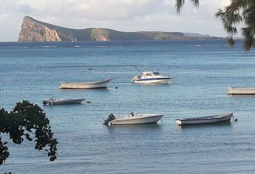 Пансион Pallagino Guest House