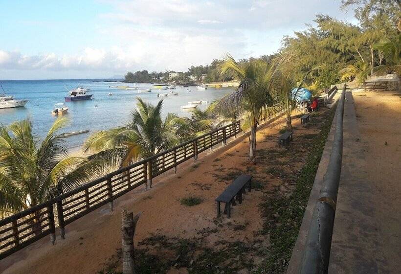 Пансион Pallagino Guest House