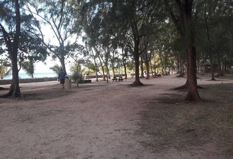 Пансион Pallagino Guest House