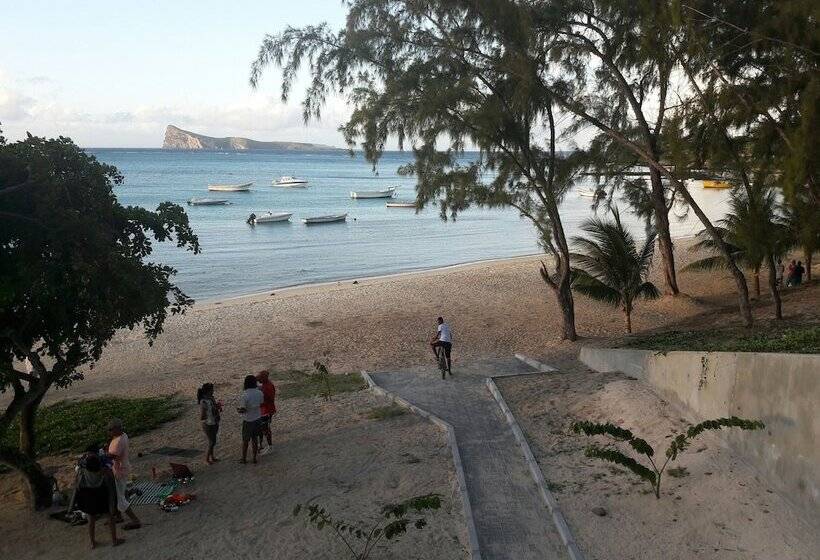 Пансион Pallagino Guest House