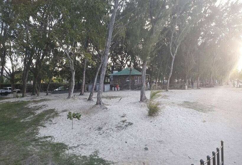 Пансион Pallagino Guest House