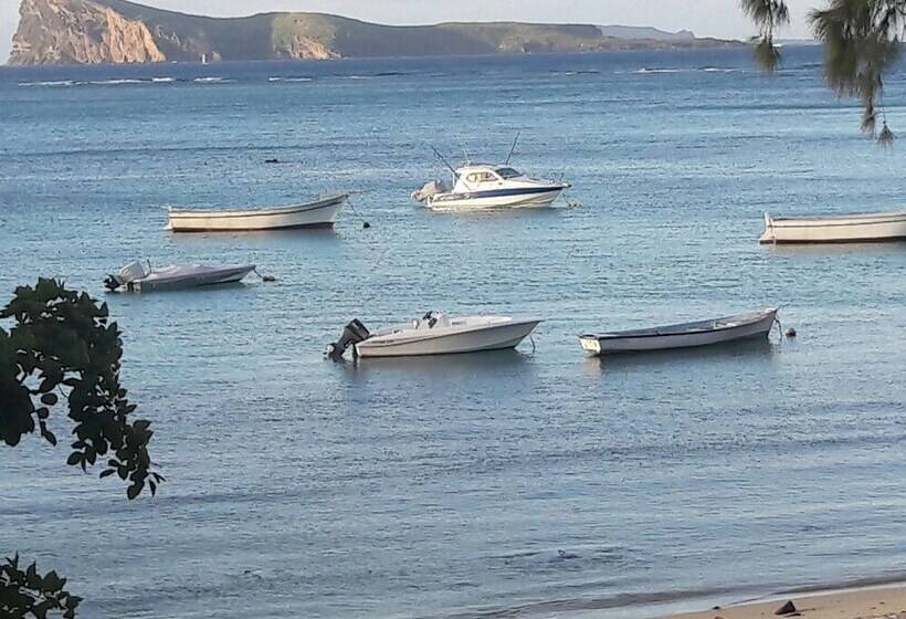 Пансион Pallagino Guest House