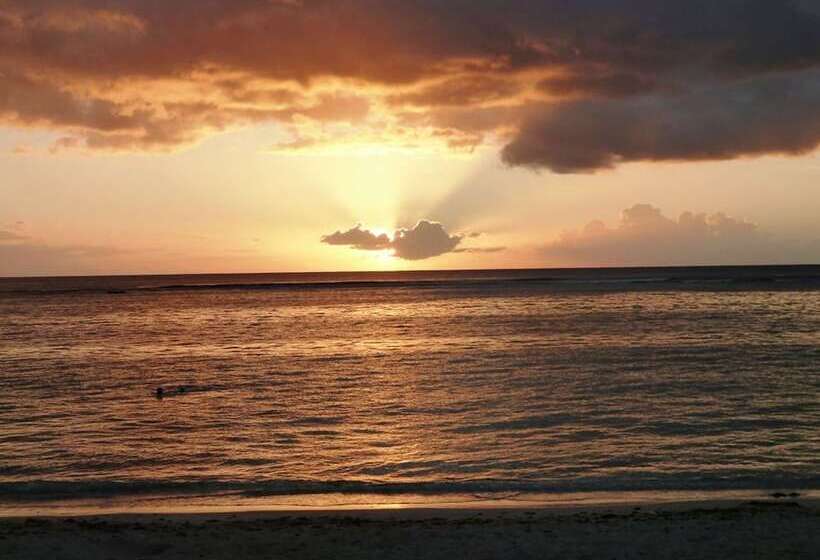 Пансион Pallagino Guest House