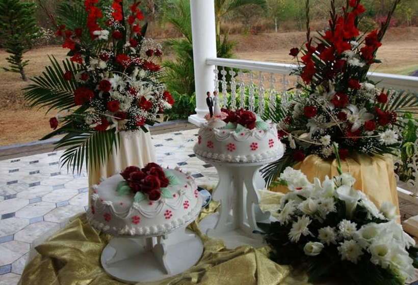 Пансион Pallagino Guest House