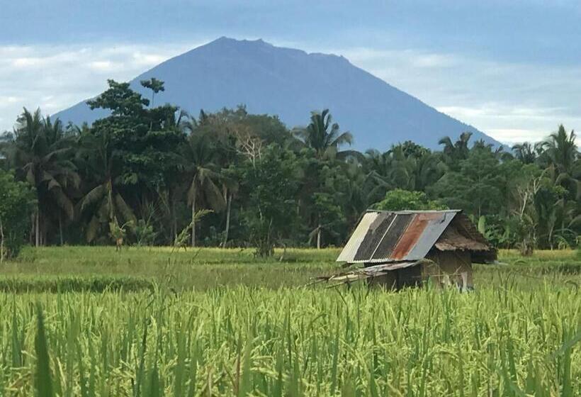 צימר Suastika Guest House Ubud